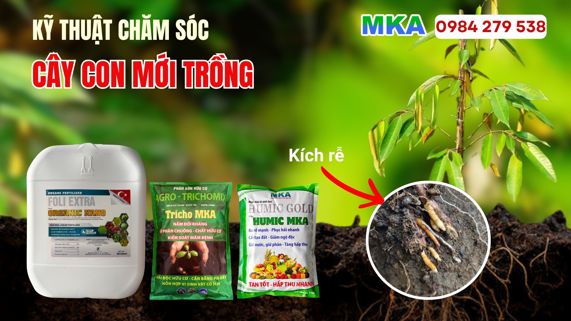 kỹ thuật chăm sóc cây con